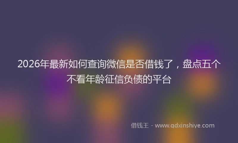2026年最新如何查询微信是否借钱了，盘点五个不看年龄征信负债的平台