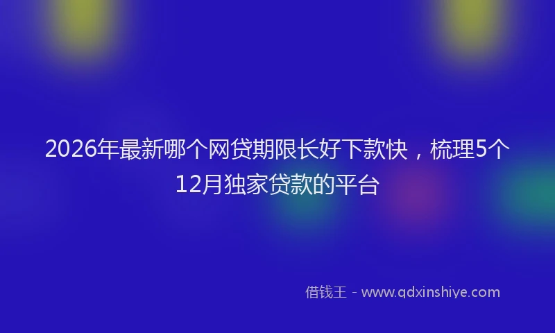 2026年最新哪个网贷期限长好下款快，梳理5个12月独家贷款的平台