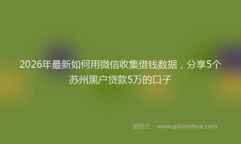 2026年最新如何用微信收集借钱数据，分享5个苏州黑户贷款5万的口子