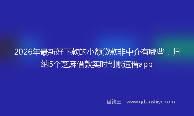 2026年最新好下款的小额贷款非中介有哪些，归纳5个芝麻借款实时到账速借app