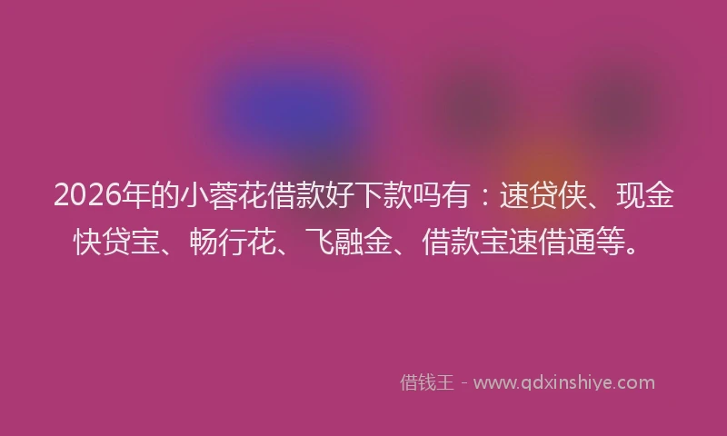 2026年的小蓉花借款好下款吗有：速贷侠、现金快贷宝、畅行花、飞融金、借款宝速借通等。