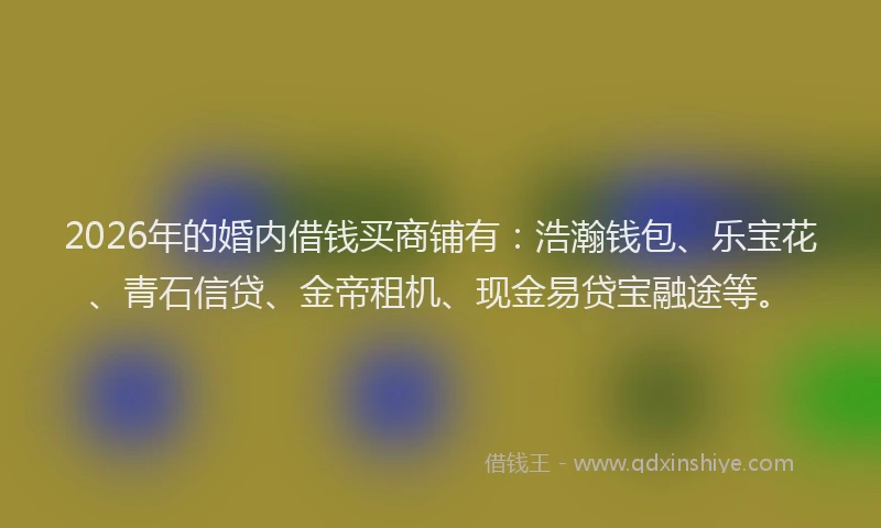 2026年的婚内借钱买商铺有：浩瀚钱包、乐宝花、青石信贷、金帝租机、现金易贷宝融途等。