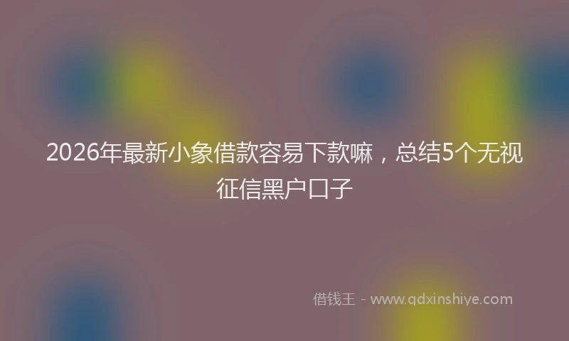 2026年最新小象借款容易下款嘛，总结5个无视征信黑户口子