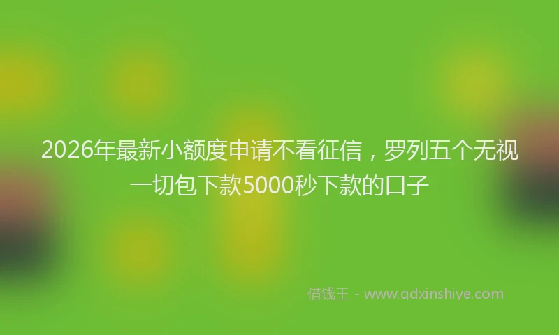 2026年最新小额度申请不看征信，罗列五个无视一切包下款5000秒下款的口子