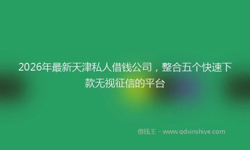2026年最新天津私人借钱公司，整合五个快速下款无视征信的平台
