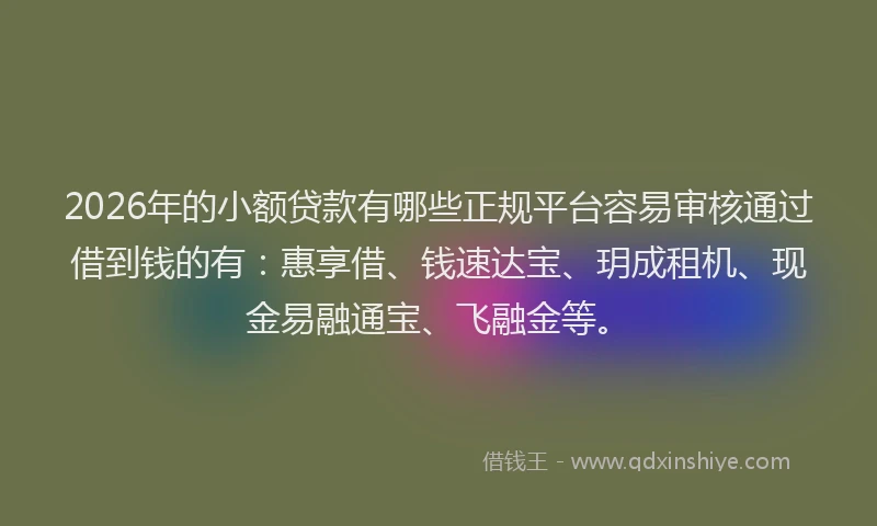 2026年的小额贷款有哪些正规平台容易审核通过借到钱的有：惠享借、钱速达宝、玥成租机、现金易融通宝、飞融金等。