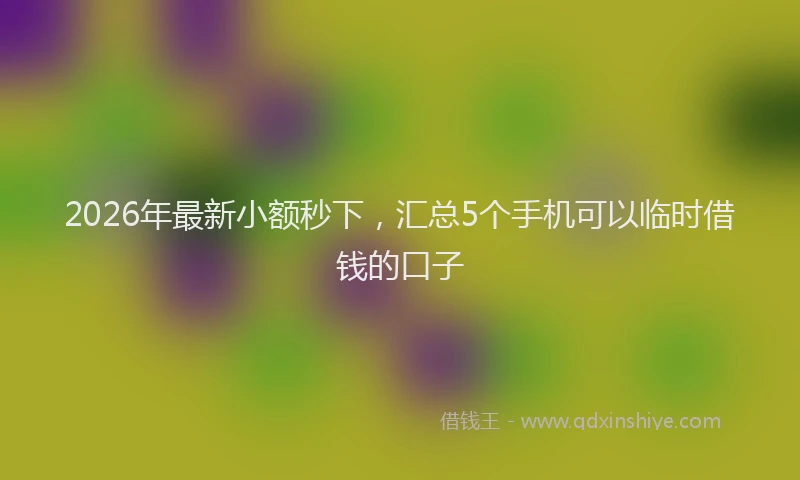 2026年最新小额秒下，汇总5个手机可以临时借钱的口子