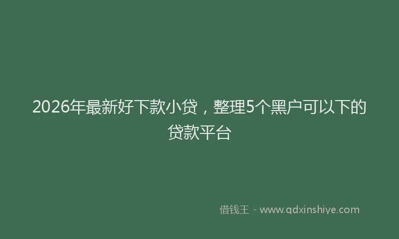 2026年最新好下款小贷，整理5个黑户可以下的贷款平台