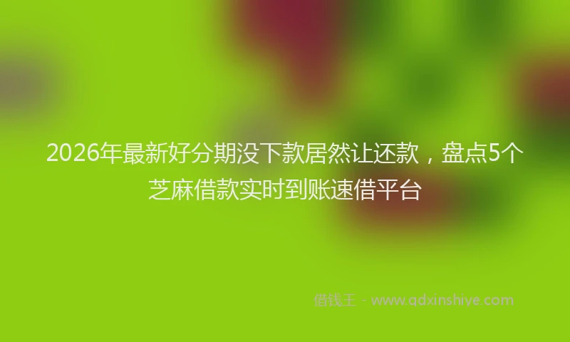 2026年最新好分期没下款居然让还款，盘点5个芝麻借款实时到账速借平台
