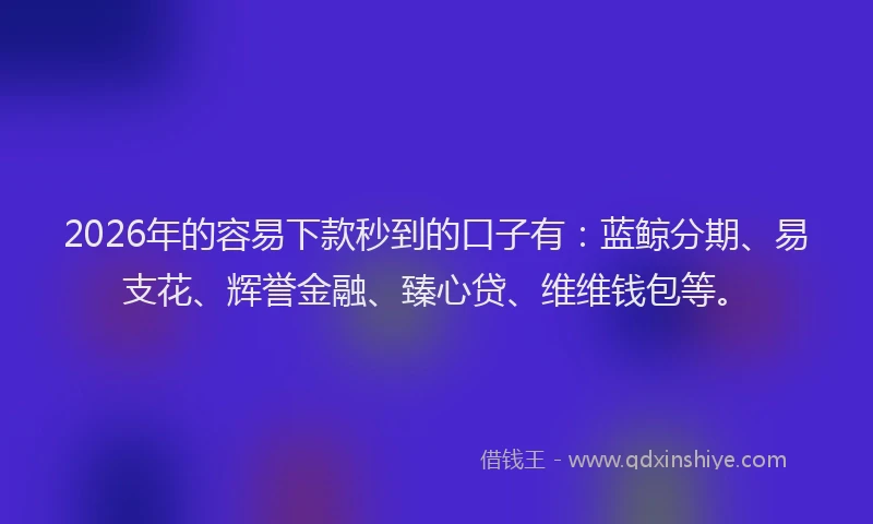 2026年的容易下款秒到的口子有：蓝鲸分期、易支花、辉誉金融、臻心贷、维维钱包等。