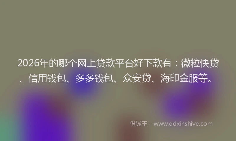 2026年的哪个网上贷款平台好下款有：微粒快贷、信用钱包、多多钱包、众安贷、海印金服等。