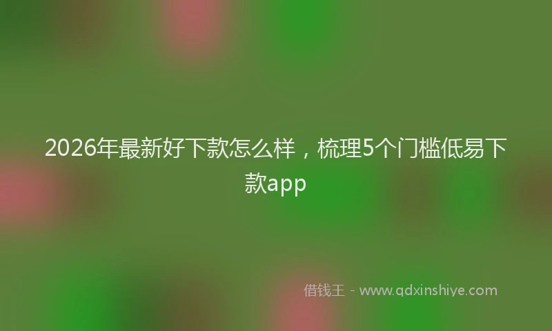 2026年最新好下款怎么样，梳理5个门槛低易下款app