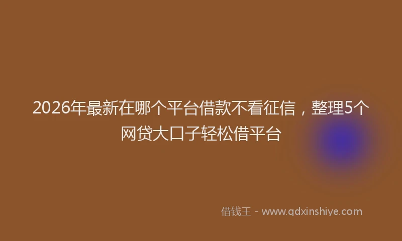 2026年最新在哪个平台借款不看征信，整理5个网贷大口子轻松借平台