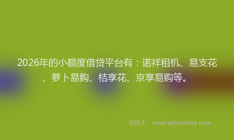 2026年的小额度借贷平台有：诺祥租机、易支花、萝卜易购、桔享花、京享易购等。
