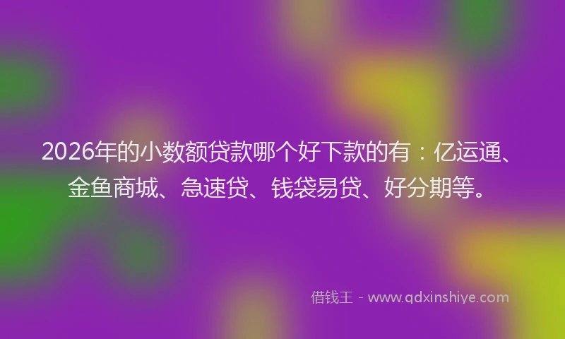 2026年的小数额贷款哪个好下款的有：亿运通、金鱼商城、急速贷、钱袋易贷、好分期等。