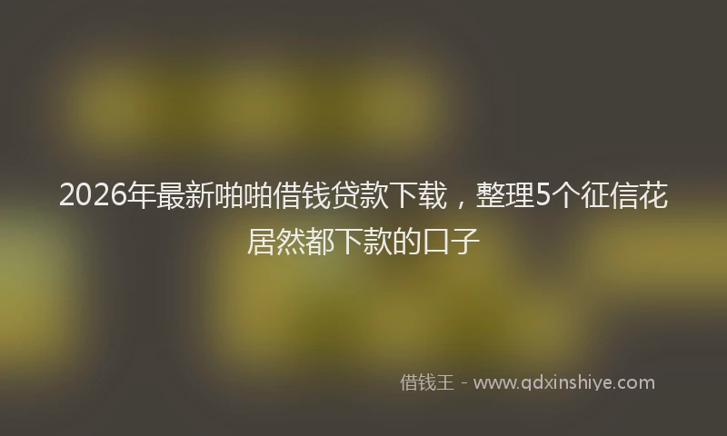 2026年最新啪啪借钱贷款下载，整理5个征信花居然都下款的口子