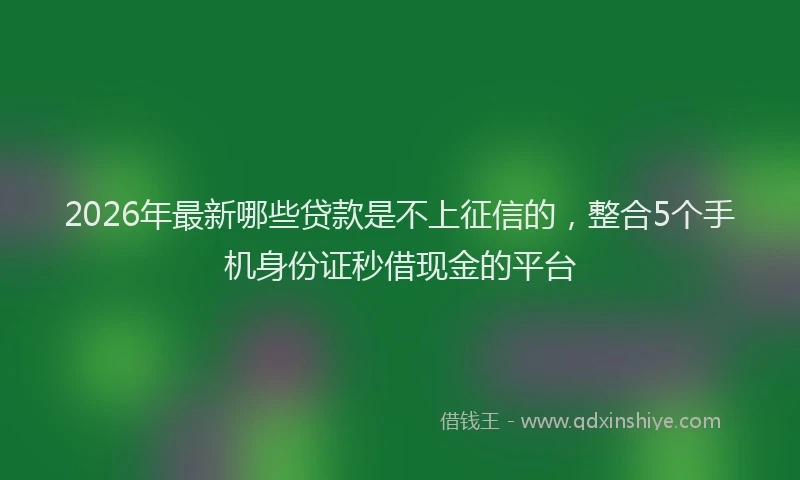 2026年最新哪些贷款是不上征信的，整合5个手机身份证秒借现金的平台