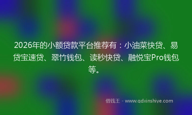 2026年的小额贷款平台推荐有：小油菜快贷、易贷宝速贷、翠竹钱包、读秒快贷、融悦宝Pro钱包等。