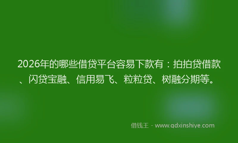 2026年的哪些借贷平台容易下款有:拍拍贷借款、闪贷宝融、信用易飞、粒粒贷、树融分期等。