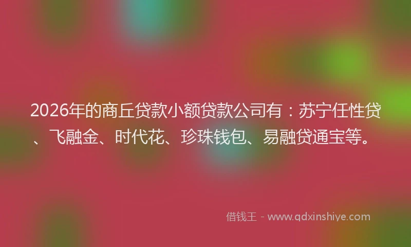 2026年的商丘贷款小额贷款公司有：苏宁任性贷、飞融金、时代花、珍珠钱包、易融贷通宝等。
