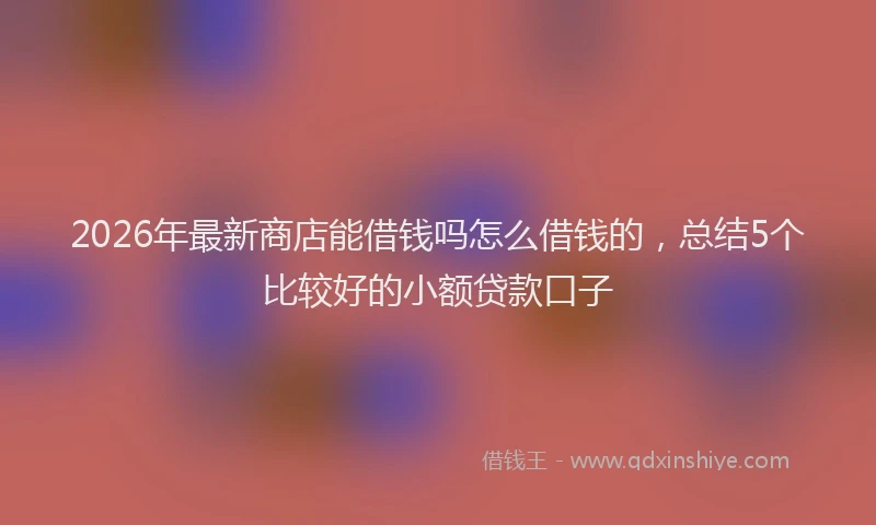 2026年最新商店能借钱吗怎么借钱的，总结5个比较好的小额贷款口子