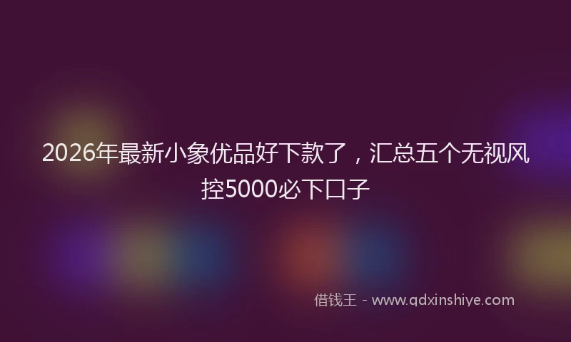 2026年最新小象优品好下款了，汇总五个无视风控5000必下口子