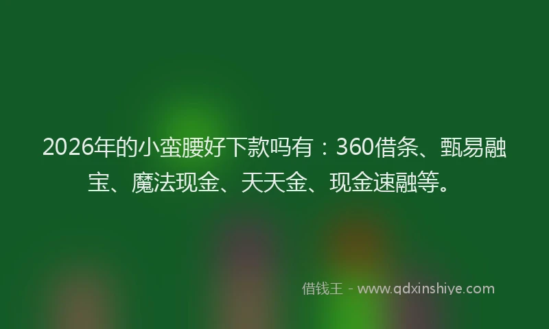 2026年的小蛮腰好下款吗有：360借条、甄易融宝、魔法现金、天天金、现金速融等。