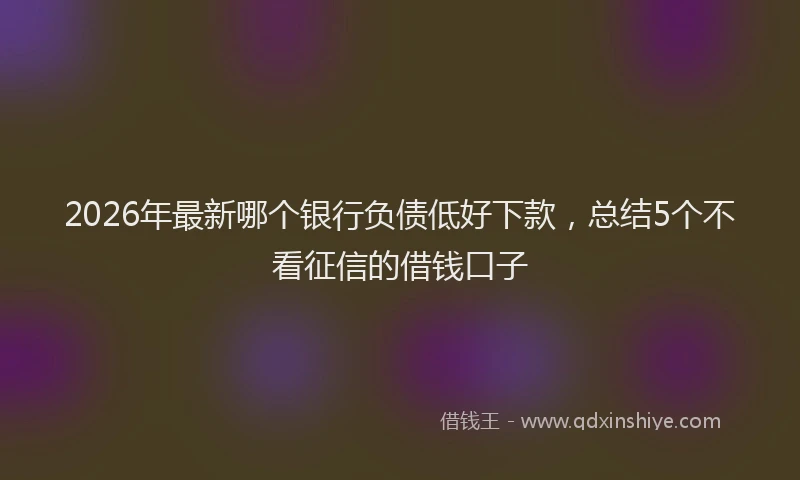 2026年最新哪个银行负债低好下款，总结5个不看征信的借钱口子