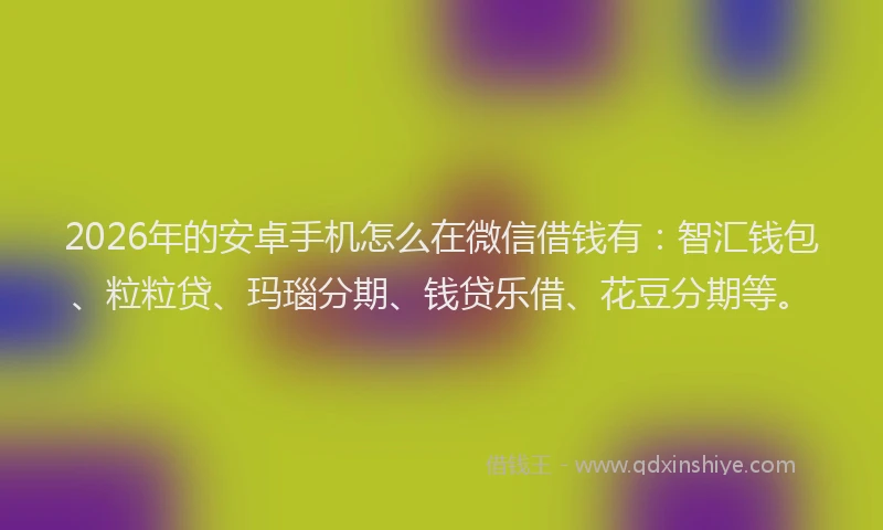 2026年的安卓手机怎么在微信借钱有：智汇钱包、粒粒贷、玛瑙分期、钱贷乐借、花豆分期等。