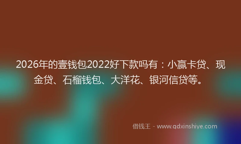 2026年的壹钱包2022好下款吗有：小赢卡贷、现金贷、石榴钱包、大洋花、银河信贷等。