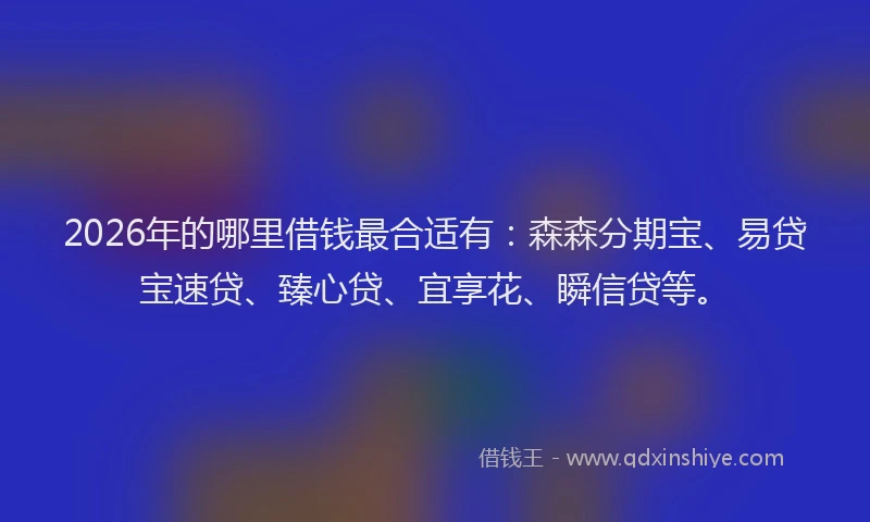 2026年的哪里借钱最合适有:森森分期宝、易贷宝速贷、臻心贷、宜享花、瞬信贷等。