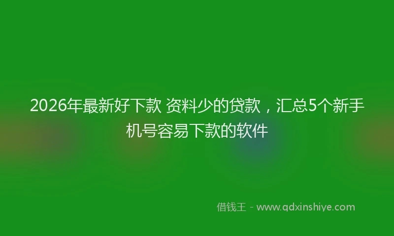 2026年最新好下款 资料少的贷款，汇总5个新手机号容易下款的软件