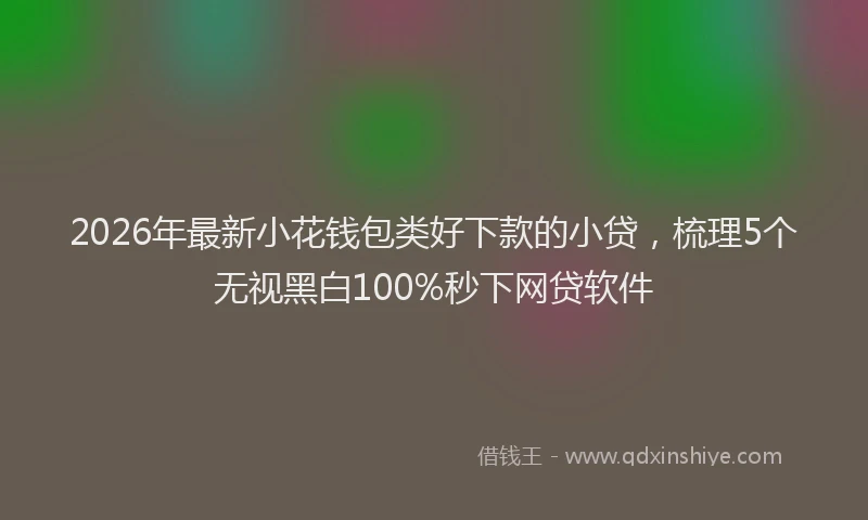 2026年最新小花钱包类好下款的小贷，梳理5个无视黑白100%秒下网贷软件