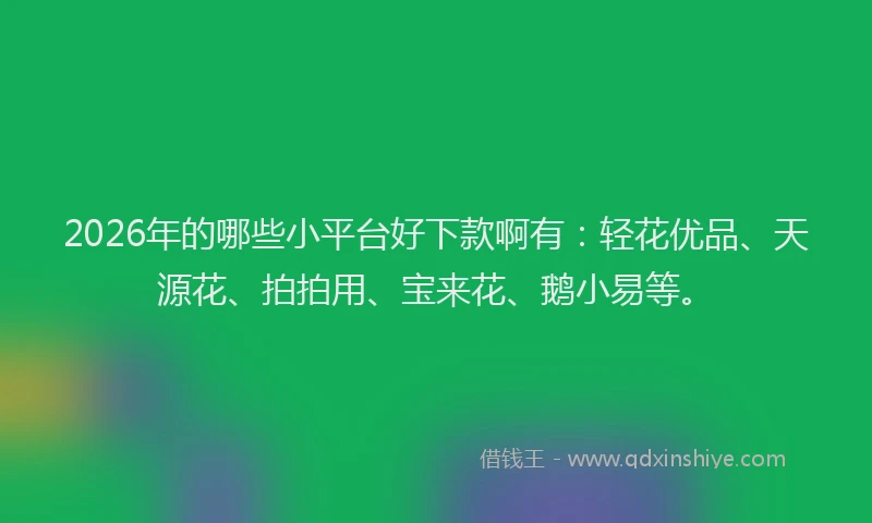 2026年的哪些小平台好下款啊有：轻花优品、天源花、拍拍用、宝来花、鹅小易等。