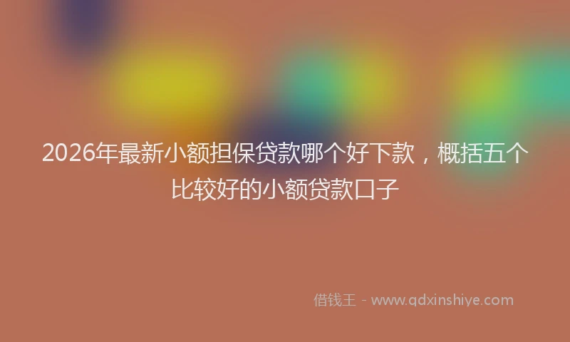 2026年最新小额担保贷款哪个好下款，概括五个比较好的小额贷款口子