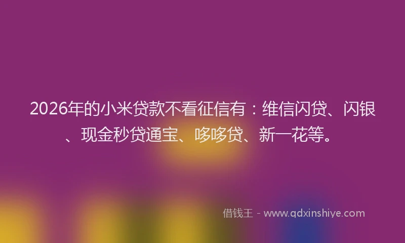 2026年的小米贷款不看征信有：维信闪贷、闪银、现金秒贷通宝、哆哆贷、新一花等。