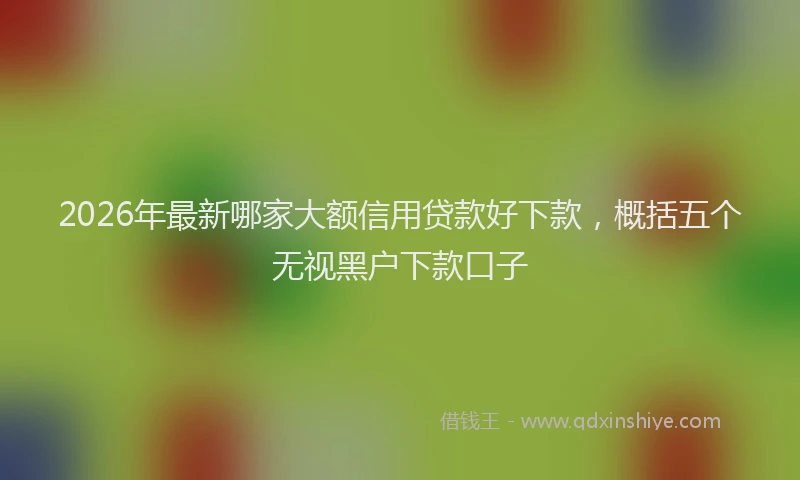 2026年最新哪家大额信用贷款好下款,概括五个无视黑户下款口子