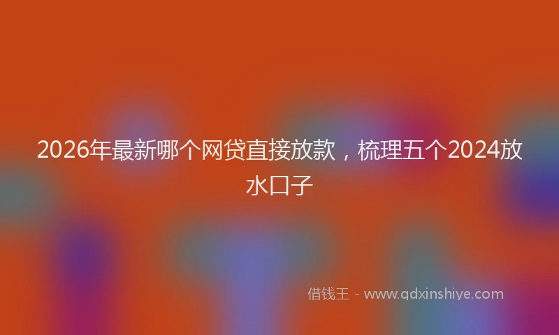 2026年最新哪个网贷直接放款，梳理五个2024放水口子