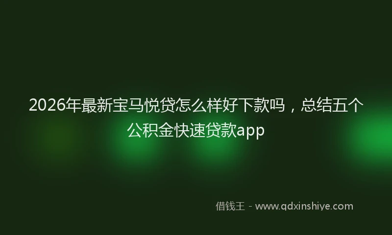 2026年最新宝马悦贷怎么样好下款吗，总结五个公积金快速贷款app