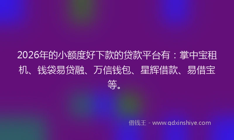 2026年的小额度好下款的贷款平台有：掌中宝租机、钱袋易贷融、万信钱包、星辉借款、易借宝等。