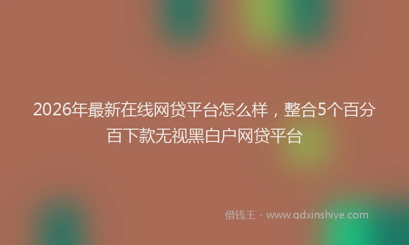 2026年最新在线网贷平台怎么样,整合5个百分百下款无视黑白户网贷平台