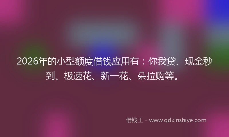 2026年的小型额度借钱应用有：你我贷、现金秒到、极速花、新一花、朵拉购等。