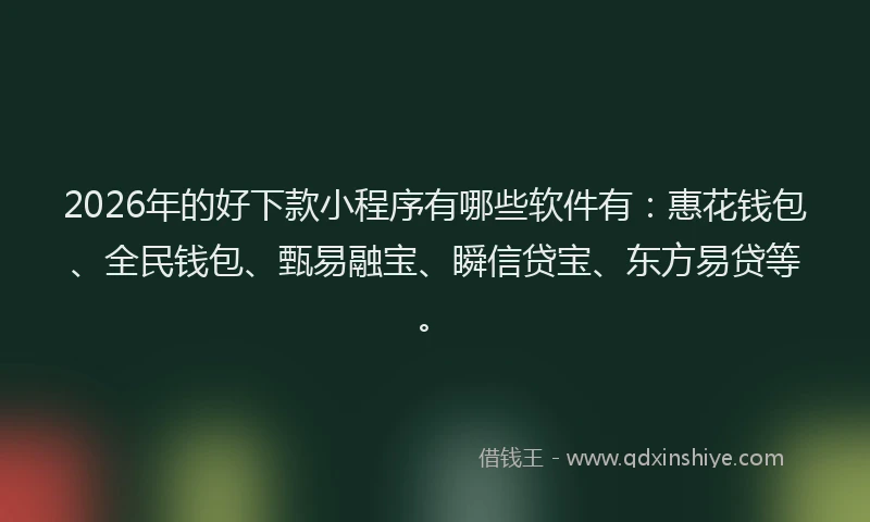 2026年的好下款小程序有哪些软件有：惠花钱包、全民钱包、甄易融宝、瞬信贷宝、东方易贷等。