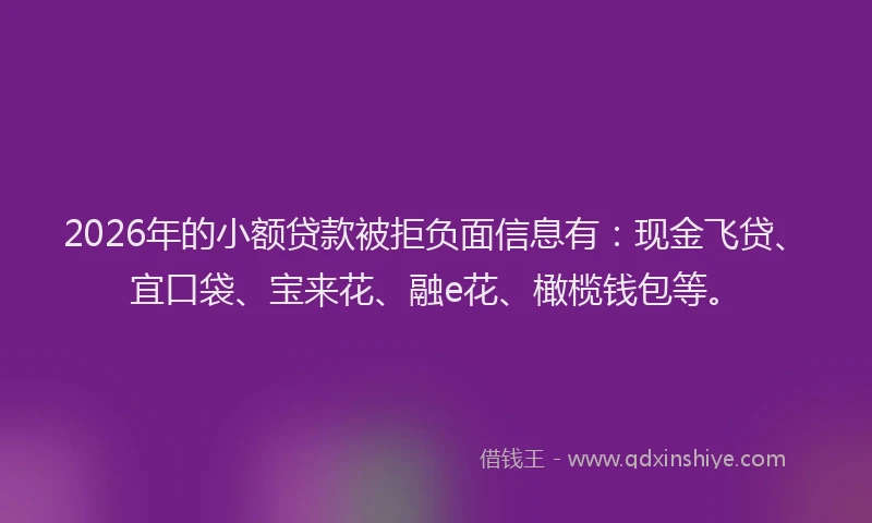 2026年的小额贷款被拒负面信息有：现金飞贷、宜口袋、宝来花、融e花、橄榄钱包等。