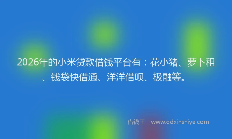 2026年的小米贷款借钱平台有：花小猪、萝卜租、钱袋快借通、洋洋借呗、极融等。