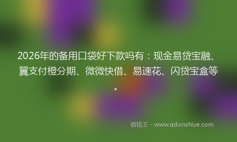 2026年的备用口袋好下款吗有：现金易贷宝融、翼支付橙分期、微微快借、易速花、闪贷宝盒等。
