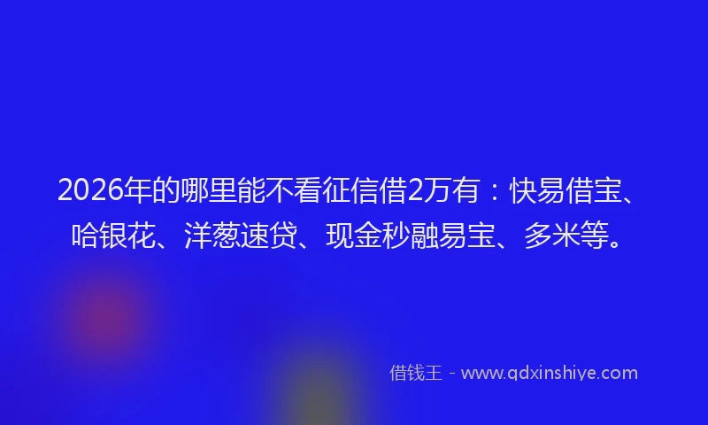 2026年的哪里能不看征信借2万有:快易借宝、哈银花、洋葱速贷、现金秒融易宝、多米等。