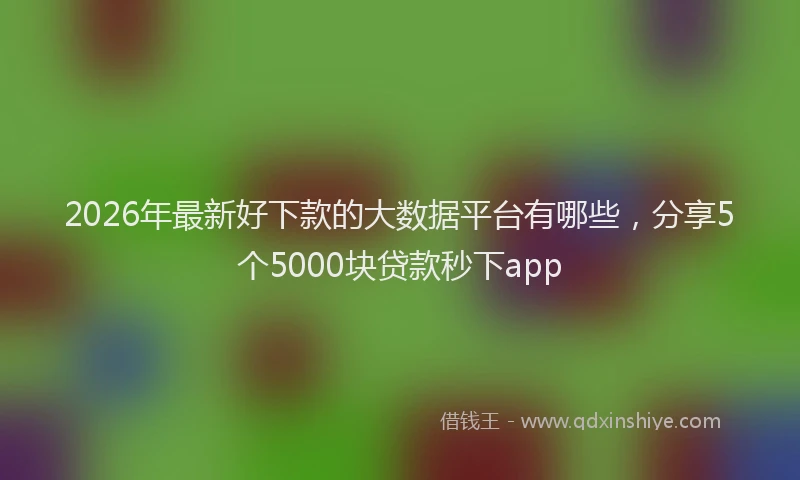 2026年最新好下款的大数据平台有哪些，分享5个5000块贷款秒下app