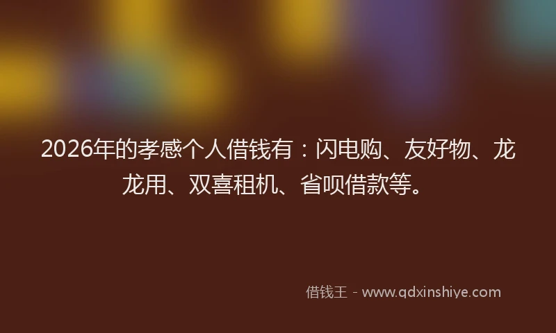 2026年的孝感个人借钱有：闪电购、友好物、龙龙用、双喜租机、省呗借款等。