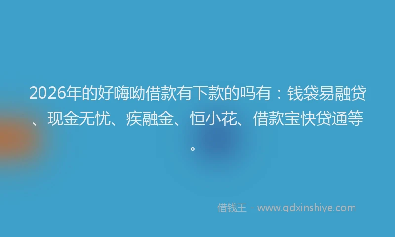2026年的好嗨呦借款有下款的吗有：钱袋易融贷、现金无忧、疾融金、恒小花、借款宝快贷通等。